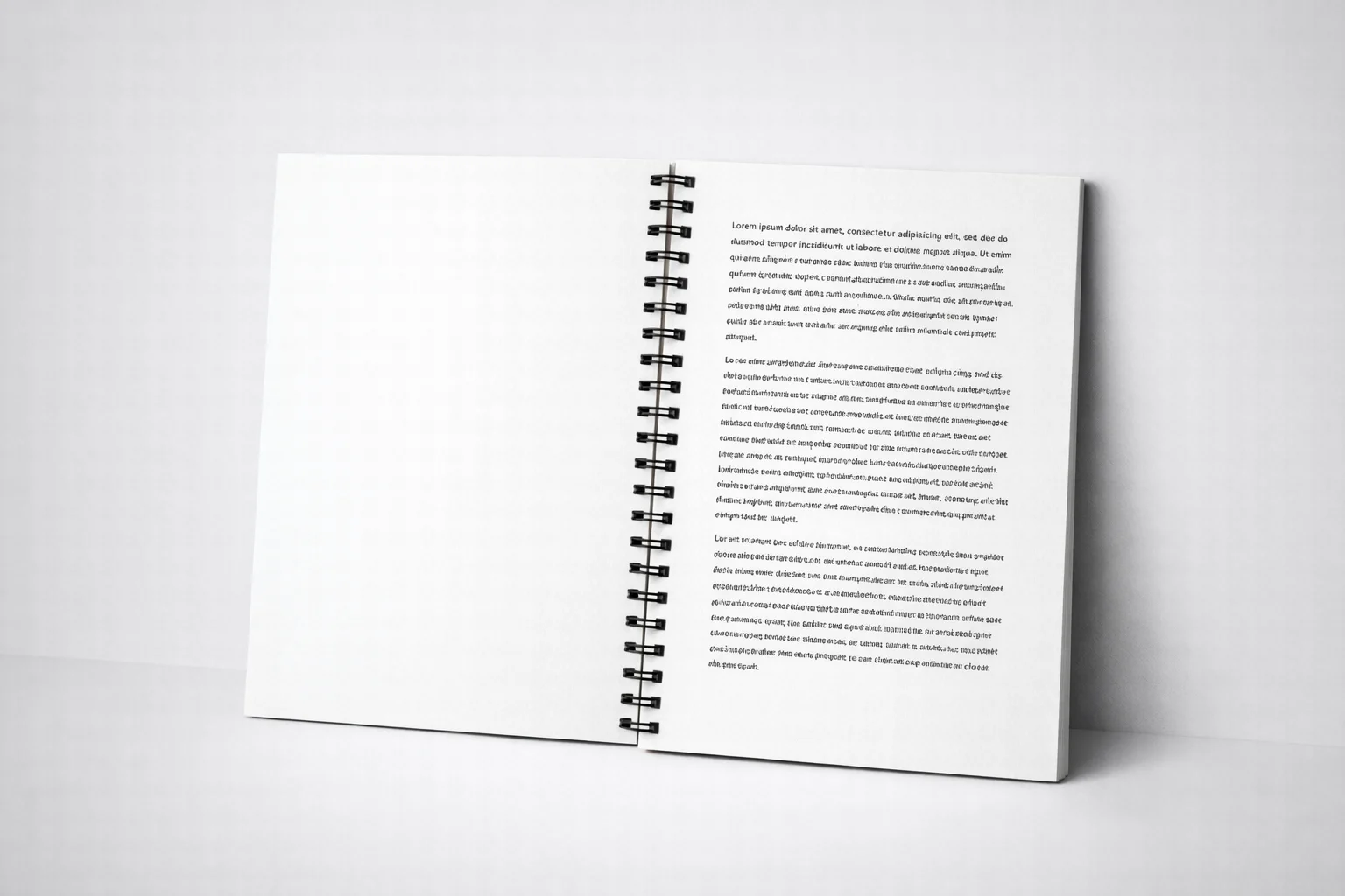 Impression d'un manuscrit pour éditeur, pages intérieures